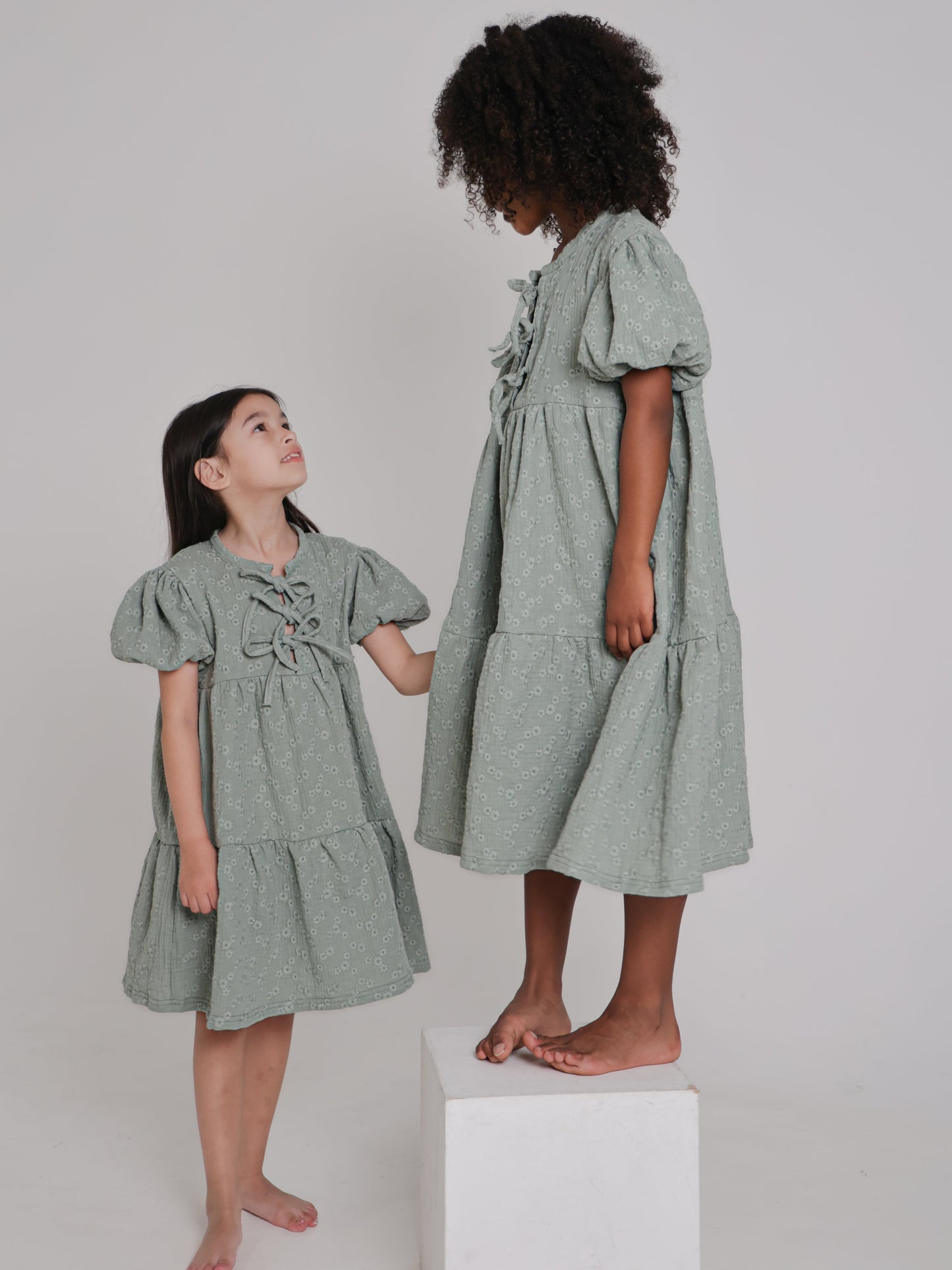 Chleo Embroidery Muslin Dress