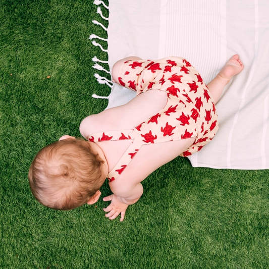 Dillon Short Dungarees Turtle