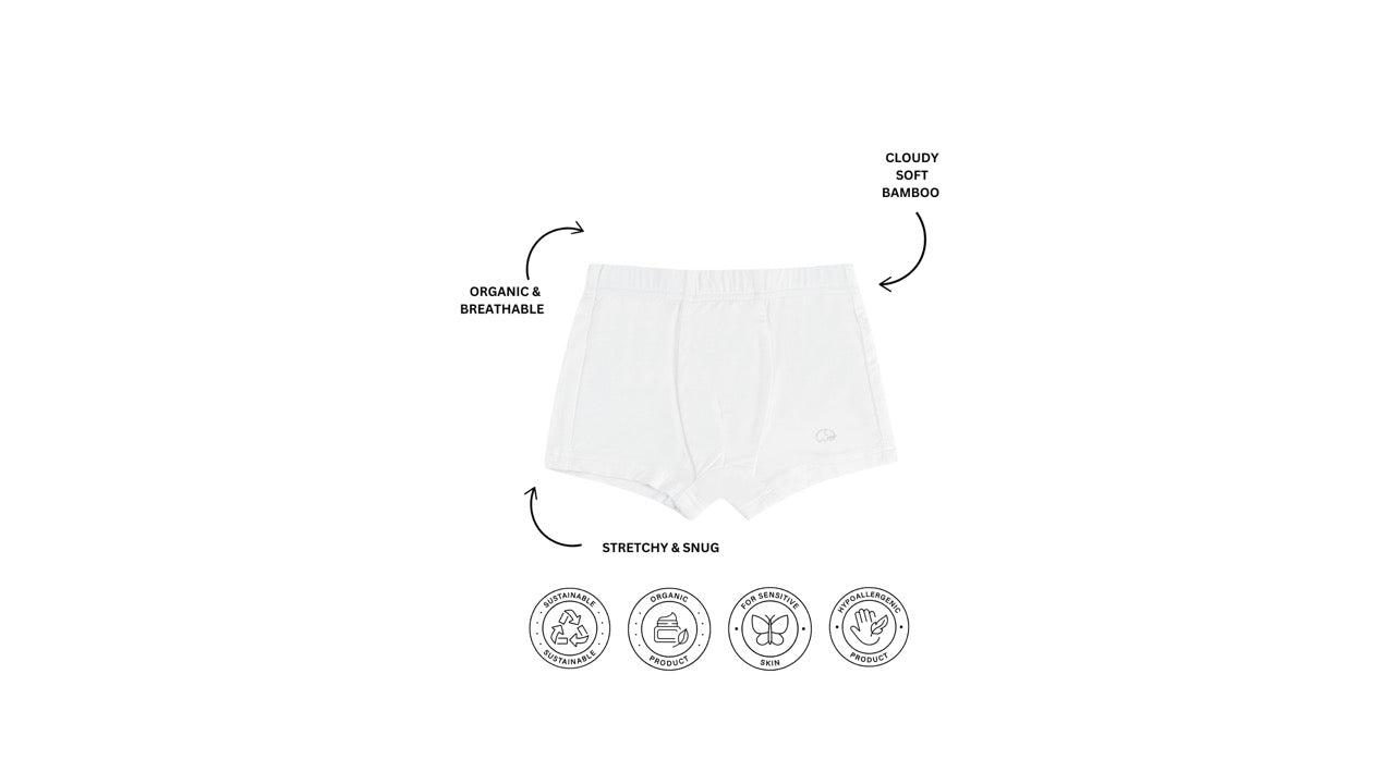 Organic Boys Bamboo Boxer Brief Underwear Set Green/Grey/Navy