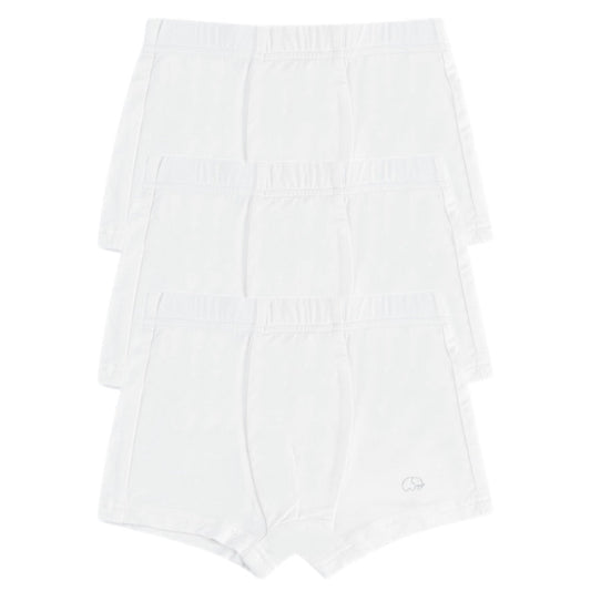 Organic Boys Bamboo Boxer Brief Underwear Set White