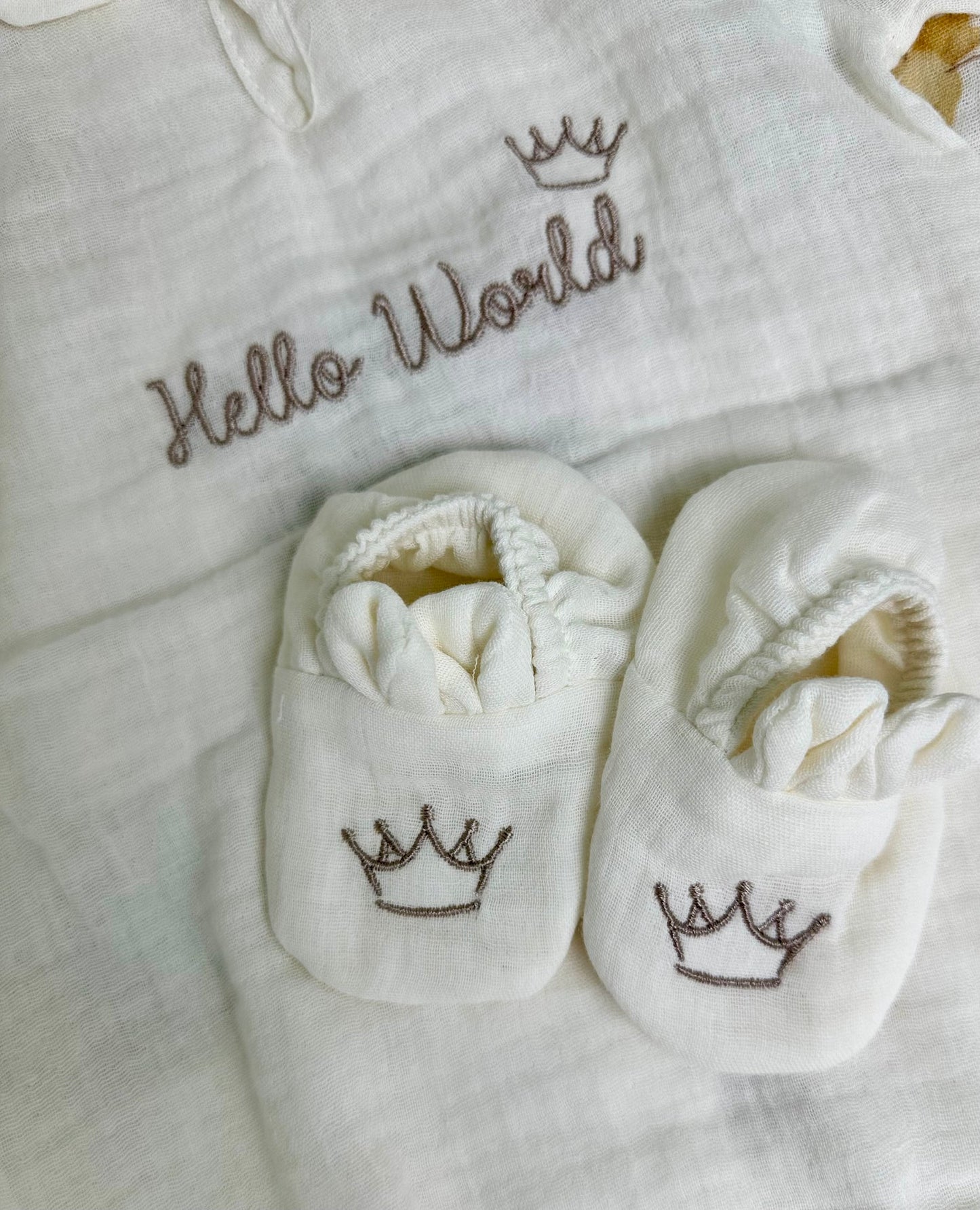 Hello World! Born in 2025 First Outfit Set