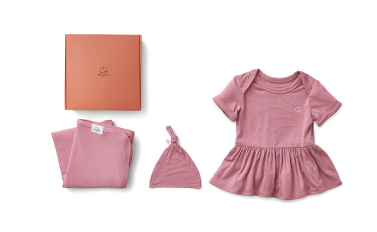 Bamboo Onesie Dress Newborn Gift Set Lilac