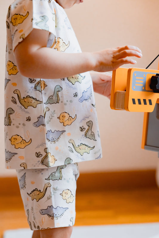 Boys Boxers in Dino Print