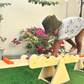 Indoor Seesaw and Balance Beam