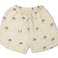 Beaux Desert Cotton Muslin Tshirt and Shorts Set for Babies, kids and teens