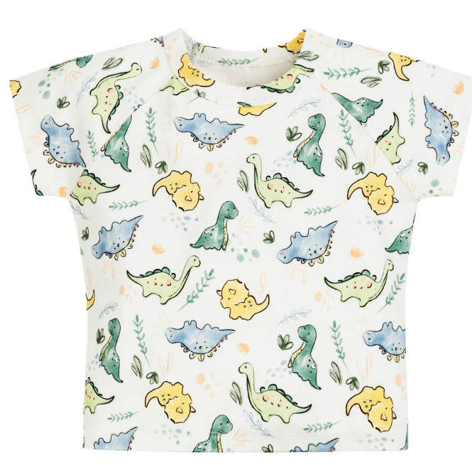 Boys T-Shirt in Dino Print