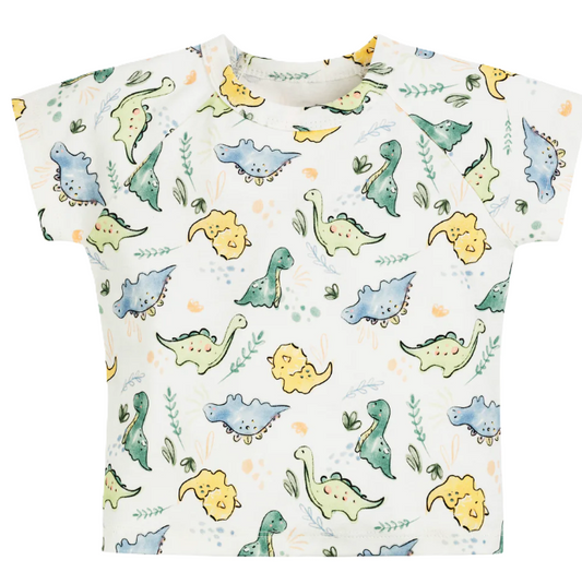 Boys T-Shirt in Dino Print