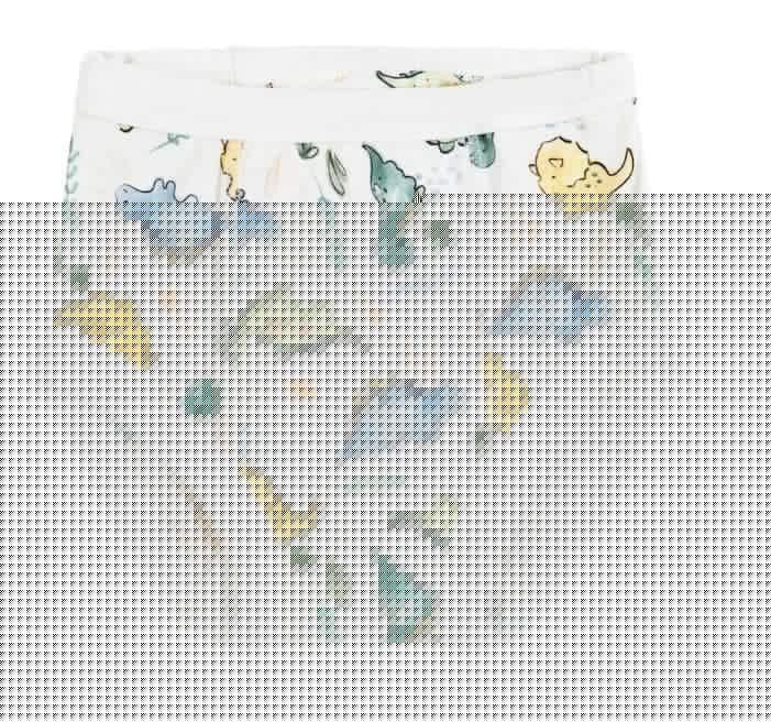 Training Pants in Dino Print