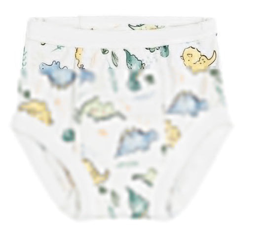 Training Pants in Dino Print