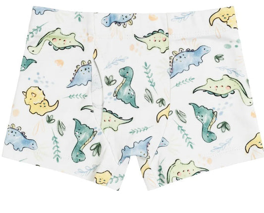 Boys Boxers in Dino Print